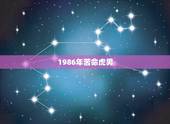 1986年苦命虎男，1986年苦命虎