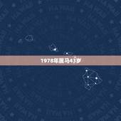 1978年属马43岁，43岁，属马，哪一年出生？