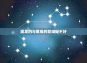 属龙的与属兔的配婚好不好，12生肖婚姻匹配