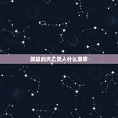 属鼠的天乙贵人什么意思，属鼠的是什么命