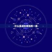 什么鱼适合单独养一条，适合家里养的鱼有哪些