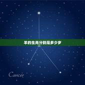 羊的生肖分别是多少岁，十二生肖的性格