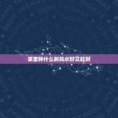 家里种什么树风水好又旺财，院子里种什么树风水好