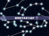 属狗的今年多大虚岁，黄历2022 年11月黄历