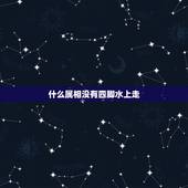 什么属相没有四脚水上走，没有四脚水上走，猜生肖