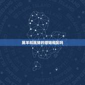 属羊和属猪的婚姻相配吗，属羊人到了晚年有谁陪属猪