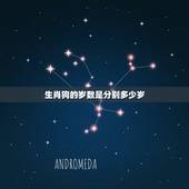 生肖狗的岁数是分别多少岁，属狗多大