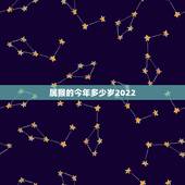属猴的今年多少岁2022，属龙今年多大岁数