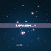 生肖鸡的运势十二月，鸡人2022 年12月运