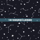 1987年属兔男和什么属相最配，1987年属什么生肖配对