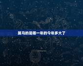 属马的是哪一年的今年多大了，90年属马人2022 年下半年运势