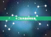 十二生肖最佳婚配表，十二生肖婚配:属相合婚配对表