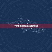 78生肖马今年运势如何，78年属马的今年运势怎么样？