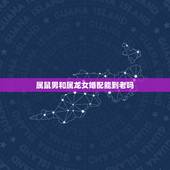 属鼠男和属龙女婚配能到老吗，属鼠男和属龙女婚姻相配吗