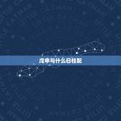 戊申与什么日柱配，戊申日柱是自己搞对象