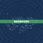 属鼠的哪年运势好，1972年属鼠2022 年运势