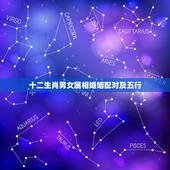 十二生肖男女属相婚姻配对及五行，男女婚配是属相准确些还是五行准确些？怎