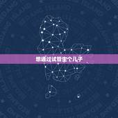 想通过试管生个儿子，生了两个儿子了，想通过第三代试管婴儿技术生个女儿可