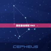 属蛇最佳婚配1965，68年69年的属相婚配与财运