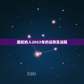 属蛇的人2022年的运势及运程，2022年蛇女的全年运势