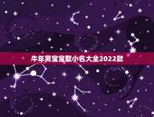 牛年男宝宝取小名大全2022款，宝宝小名大全2022 洋气