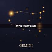 双子座今年感情运势，双子座今年的运势？