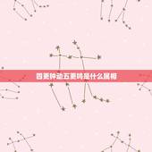 四更钟动五更鸣是什么属相，鸡鸣五更早早起是什么动物生肖