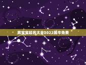 男宝宝起名大全2022属牛免费，2022 鼠宝宝大气名字