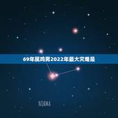 69年属鸡男2022年最大灾难是，2022属鸡人的全年运势如何