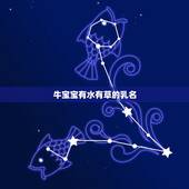 牛宝宝有水有草的乳名，牛宝宝的小名有哪些？