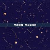 生肖猴的一生运势预测，属猴遇猴年运气预测