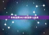 牛年运势2021年运势12生肖，十二生肖运程2021年运势每月运程