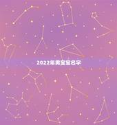 2022年男宝宝名字，2022年男孩虎宝宝名字