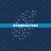属牛和属蛇的合不合得来，属牛和属鸡的合不合