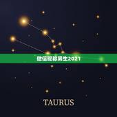 微信昵称男生2021，2021年霸气微信名有哪些？