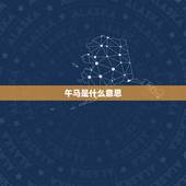 午马是什么意思，午马指的哪一年