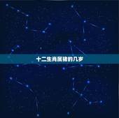 十二生肖属猪的几岁，属牛的年份表