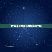 1997年属牛明年本命年怎么样，1997属牛人2021年本命年如何