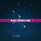 属虎女上花轿跟什么相克，是不是属虎的女人和属龙的男人，结合是不是不好