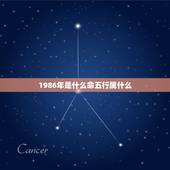 1986年是什么命五行属什么，1986年五行属什么