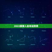 2022属猪人全年运势男，2022年12生肖运势解析