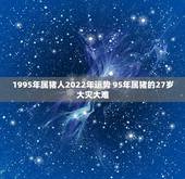 1995年属猪人2022年运势 95年属猪的27岁大灾大难