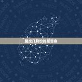 属虎几月份的是苦命，2022 年属鼠几月出生好
