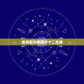 生肖配对表图片十二生肖，年份生肖配对表