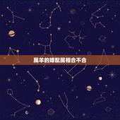 属羊的婚配属相合不合，属羊的跟属羊的婚姻合不合的来