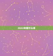 2022年属什么命，2022年属什么生肖