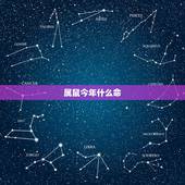 属鼠今年什么命，2022 年属鼠今年什么命