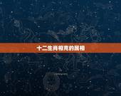 十二生肖相克的属相，十二生肖的相生相克