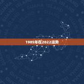 1985年在2022运势，1985年属牛人未来10年 八五年生人福气还