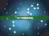 1977年属蛇财运，1977年蛇女未来十年运势